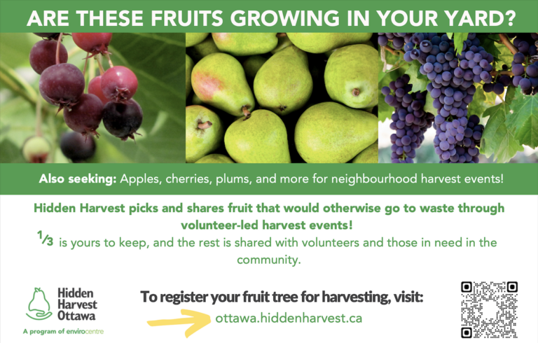 Thumbnail of a Hidden Harvest flyer. Click on image for a printable PDF.